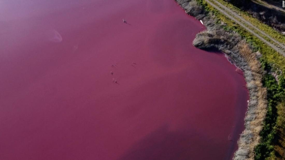 See disaster-stricken lagoon turned pink