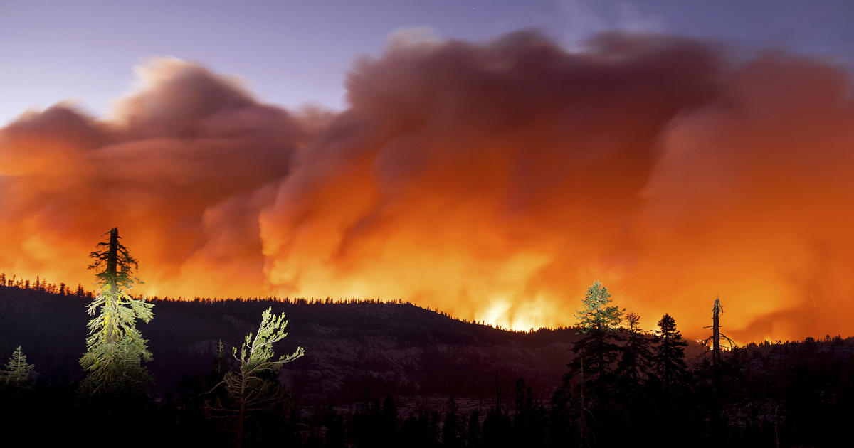 All California national forests to temporarily close due to "wildfire crisis"